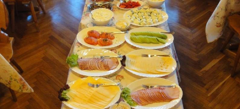 奥拉别墅(Willa Orla)图片