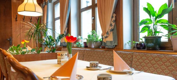 加尼金天鹅酒店(Goldener Schwan Hotel Garni)图片