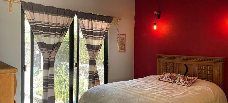 祖父母的家(La Casa de Los Abuelos)图片