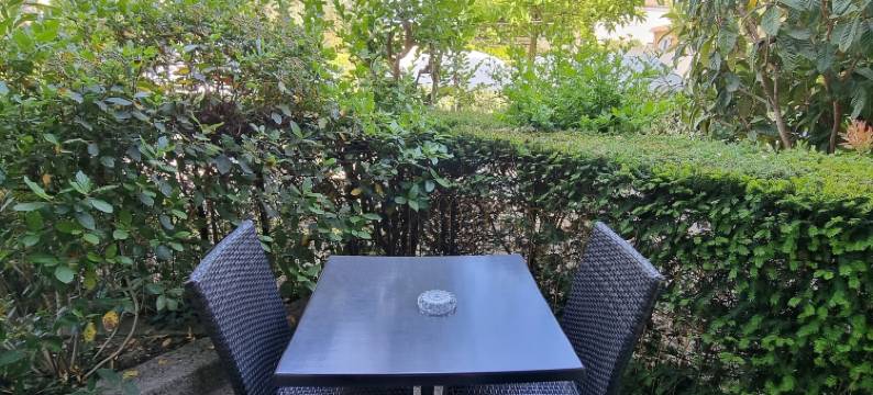 勒普拉戴酒店(Hôtel le Pradet)图片