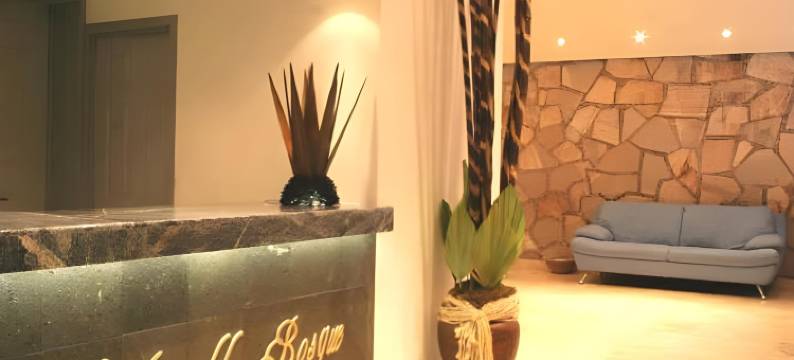 巴鲁克电缆车历史中心酒店(Hotel Baruk Teleférico Centro Histórico)图片