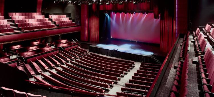 尼亚加拉瀑布景观酒店(Niagara Fallsview Hotel)图片