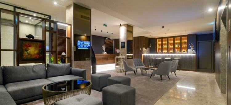 OCA东方波尔图(Oca Oriental Porto Hotel)图片