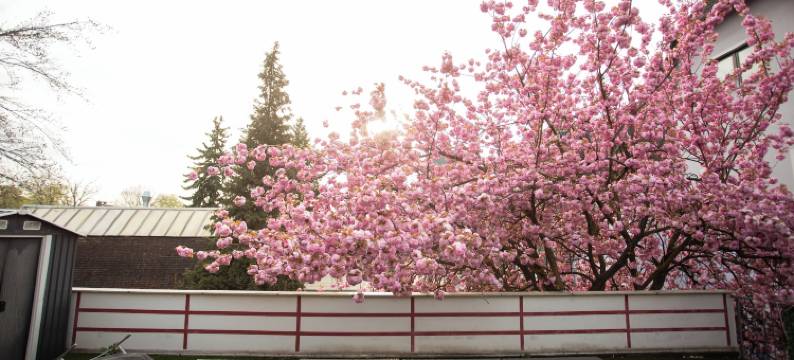 体育公园酒店(Hotel am Sportpark)图片