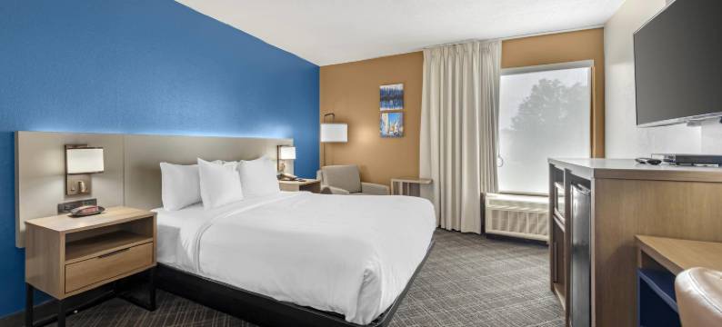 查塔努加市中心南区舒适酒店(Comfort Inn Downtown)图片