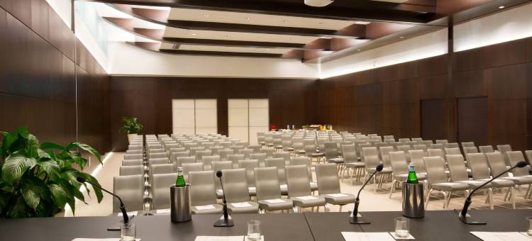 怡东高级酒店(Starhotels Excelsior)图片