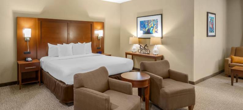 孟菲斯市中心舒适酒店(Comfort Inn Memphis Downtown)图片