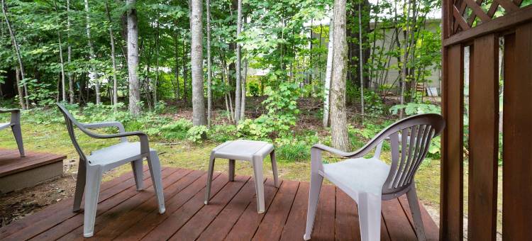 Travelodge by Wyndham Bracebridge图片