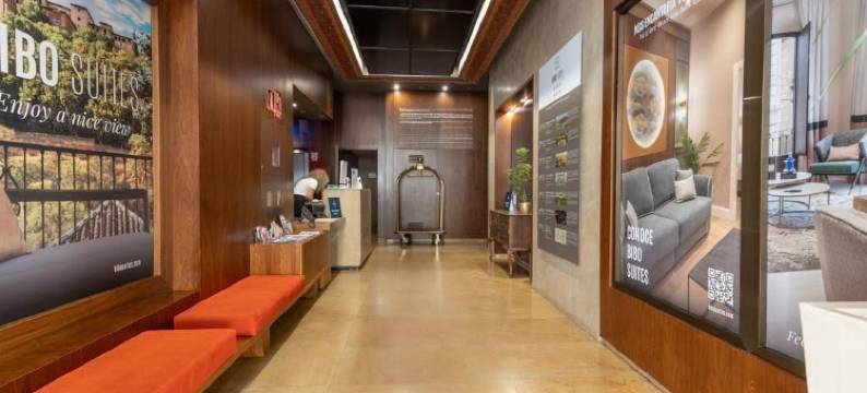 Bibo雷格赫达斯酒店(Bibo Hotel Recogidas)图片