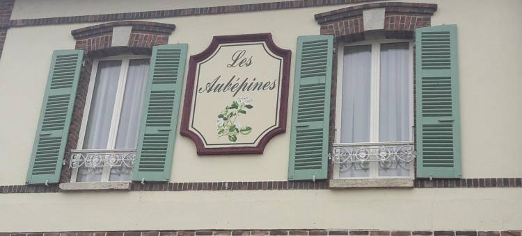 奥贝皮尼斯酒店(Hotel les Aubépines)图片