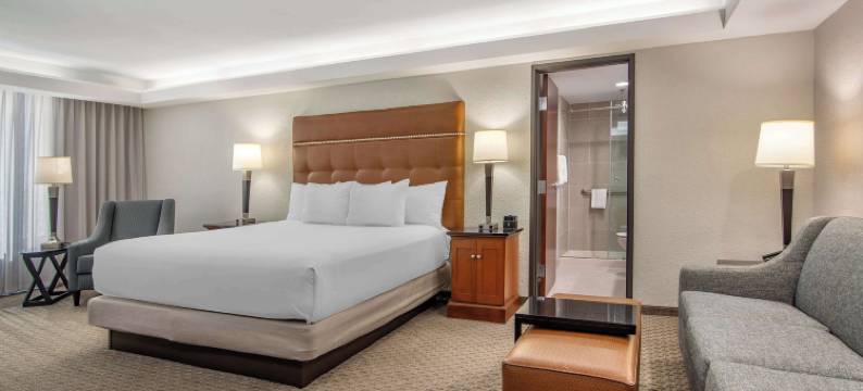 亚特兰大机场德鲁里套房酒店(Drury Inn & Suites Atlanta Airport)图片