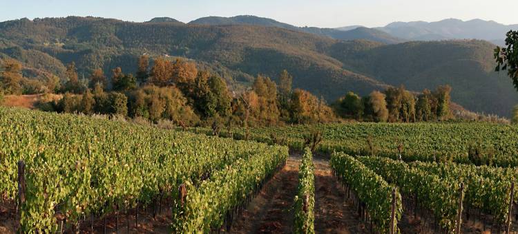 Villa in Tuscany with Organic Wine Estate图片