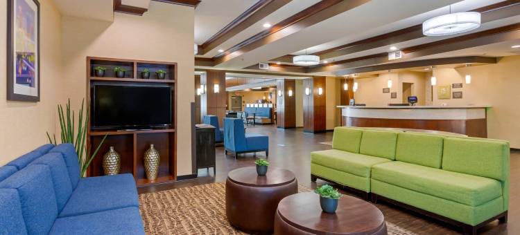 舒适套房酒店-小石城西(Comfort Suites Little Rock West)图片