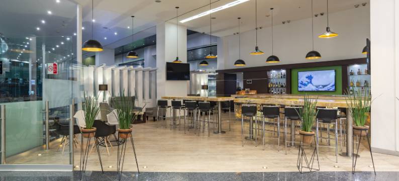 Holiday Inn 墨西哥城大学广场(Holiday Inn MEXICO CITY-PLAZA UNIVERSIDAD by IHG)图片