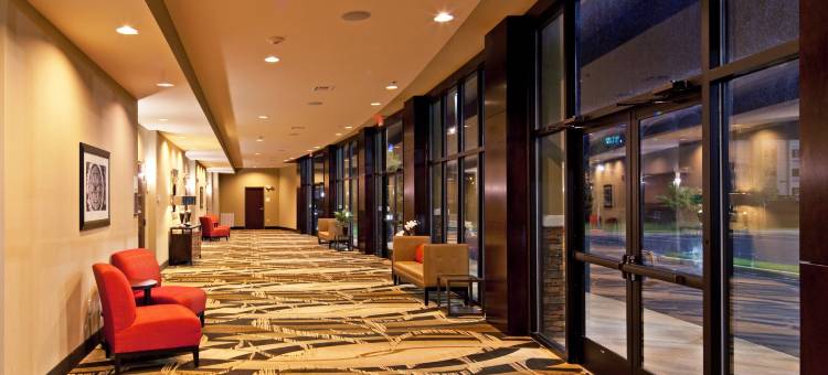 Holiday Inn 莫比尔- 机场(Holiday Inn Mobile - Airport)图片