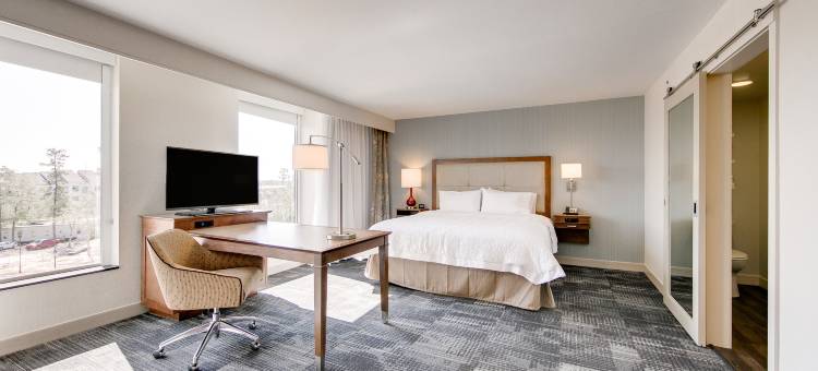 希尔顿欢朋套房酒店-休斯顿北斯普林(Hampton Inn & Suites North Houston Spring)图片