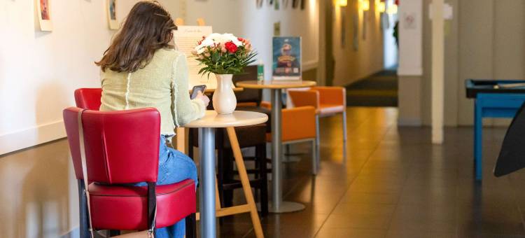 宜必思快捷勒皮酒店(Ibis Budget le Puy-en-Velay)图片