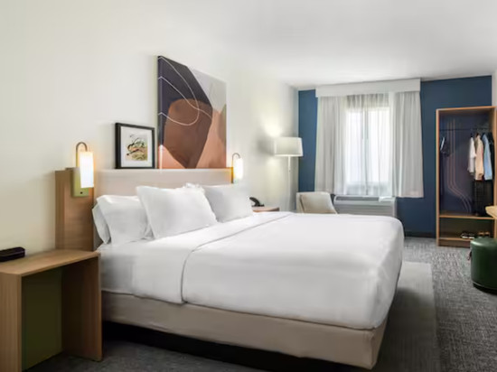 希尔顿沙尼的Spark酒店