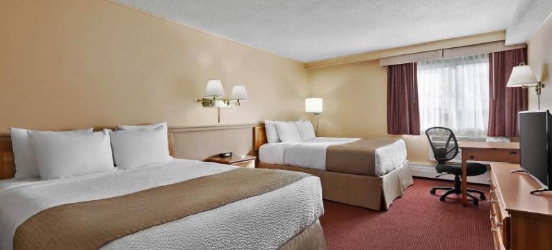 怀特霍斯戴斯酒店(Quality Inn & Suites)图片