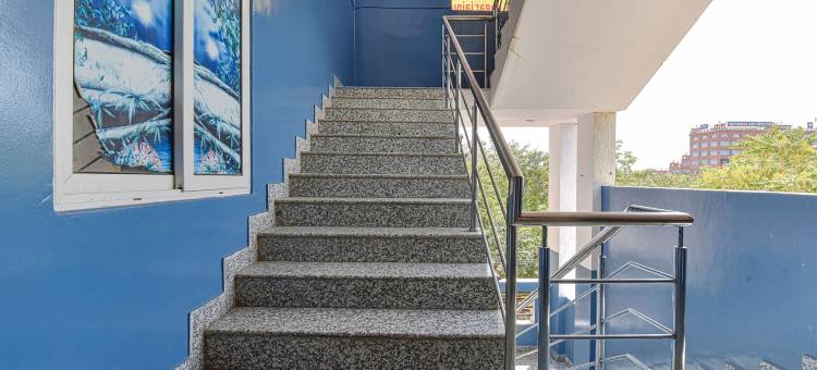 Fabexpress 绿景酒店(FabHotel Green Vista Malviya Nagar)图片