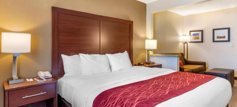 舒适酒店(Comfort Inn)图片