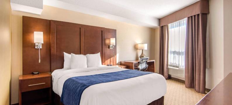 梅迪辛哈特舒适套房酒店(Comfort Inn & Suites)图片