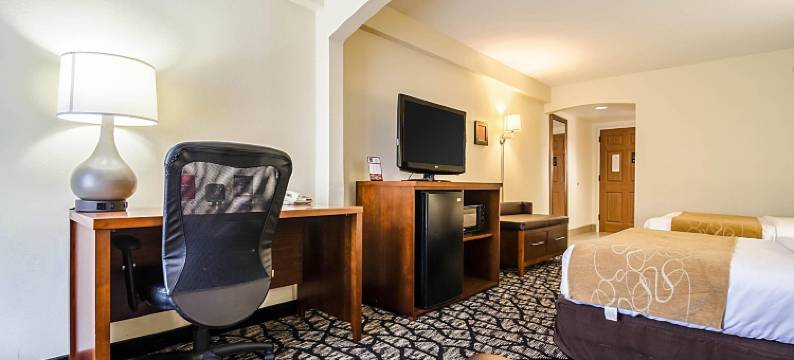 因斯布鲁克-舒特庞普舒适套房酒店(Comfort Suites Innsbrook - Short Pump)图片