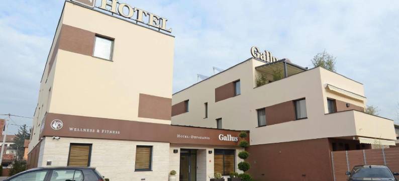 加勒斯酒店(Hotel Gallus)图片