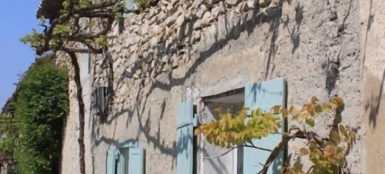 瓦松之家(La Maison de Vaison)图片