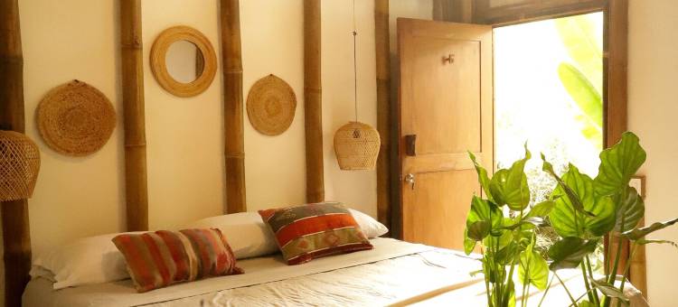 圣特雷莎梦想冲浪之家(Dream Surf House Santa Teresa (Playa Hermosa))图片