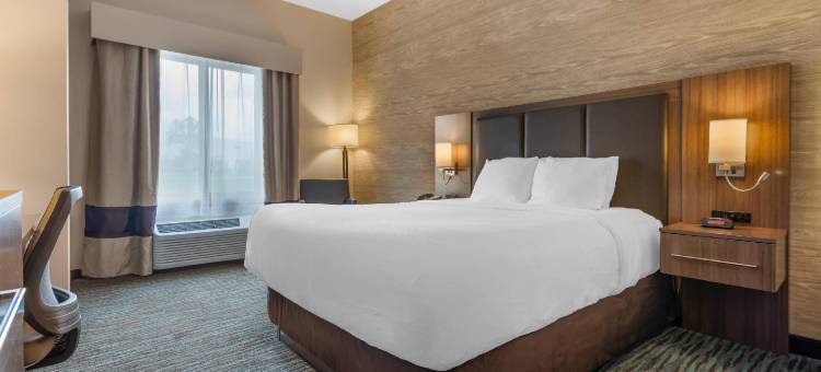 舒适酒店及套房-机场北(Comfort Inn & Suites Airport North)图片