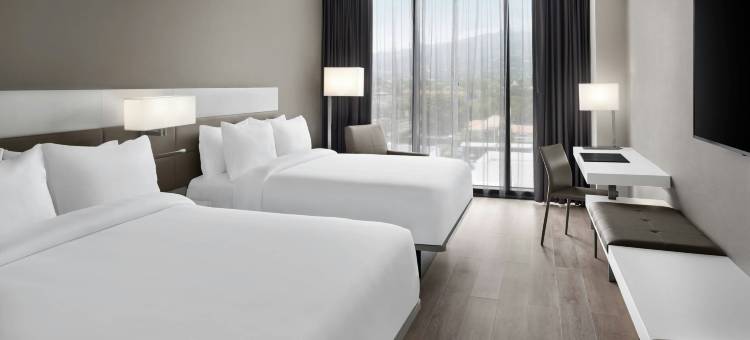 牙买加金斯敦万豪AC酒店(AC Hotel Kingston, Jamaica)图片