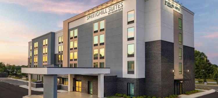布拉塞尔顿SpringHill Suites酒店(SpringHill Suites by Marriott Braselton)图片