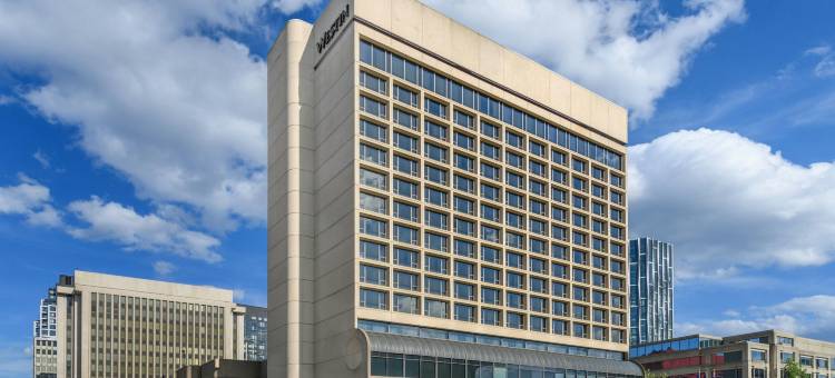 威斯汀水晶市雷根国家机场酒店(The Westin Crystal City Reagan National Airport)图片