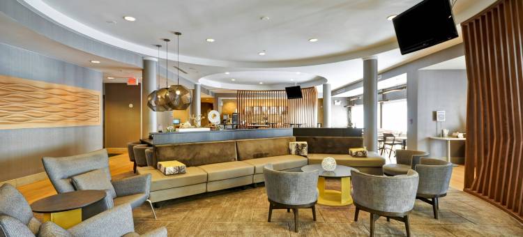 塔拉哈西中央万豪SpringHill酒店(SpringHill Suites Tallahassee Central)图片