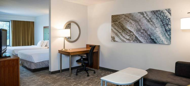汉普顿SpringHill Suites酒店(SpringHill Suites Hampton)图片