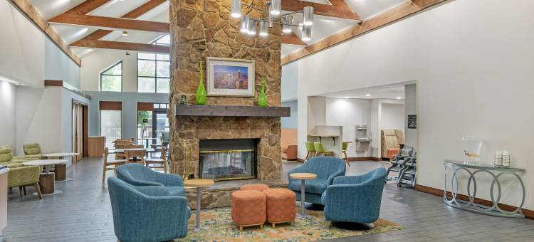 亚特兰大-德卢斯-格威内特县欢朋套房酒店(Hampton Inn & Suites Atlanta/Duluth/Gwinnett County)图片