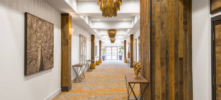 Crowne Plaza Resort 阿什维尔(Crowne Plaza Resort Asheville)图片