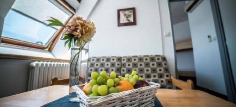 信息中心公寓(IT Centrum Apartments)图片