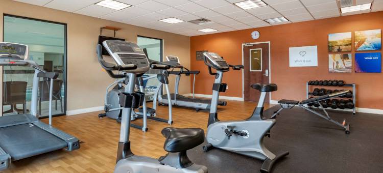 机场-大学舒适套房酒店(Comfort Suites Airport-University)图片