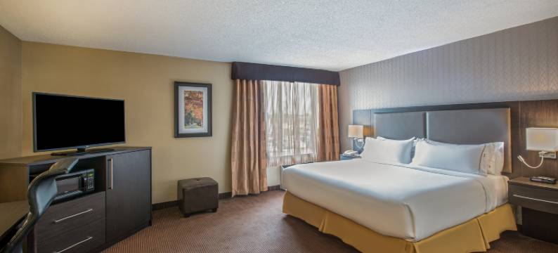 丽晶市中心品质酒店及套房(Quality Inn & Suites Regina Downtown)图片