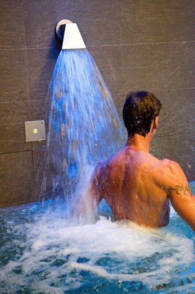 Arli Hotel Business and Wellness Over view