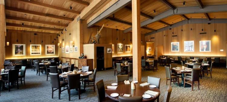 优胜美地谷旅馆(Yosemite Valley Lodge)图片