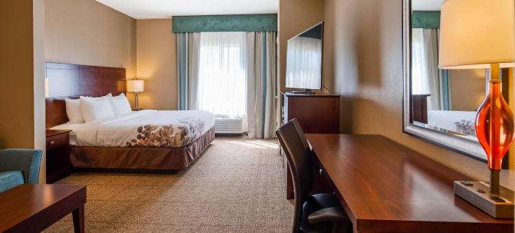 多森贝斯特韦斯特套房酒店(Best Western Dothan Inn  Suites)图片