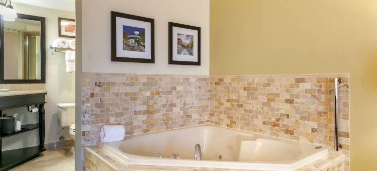 查塔努加市中心南区舒适酒店(Comfort Inn Downtown)图片