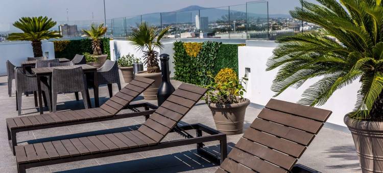 Best Western Plus Gran Hotel Centro Historico图片