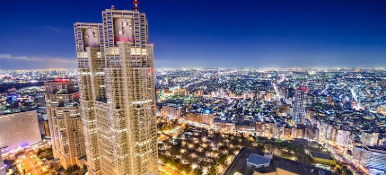 新宿曙桥珍珠酒店(Pearl Hotel Shinjuku Akebonobashi)图片
