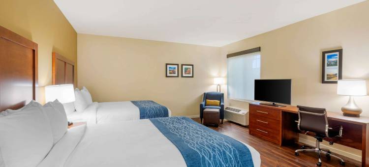 舒适套房酒店-近安大略机场(Comfort Inn & Suites Near Ontario Airport)图片