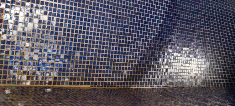 CGH奥雷塞姆SPA公寓式酒店(CGH Résidences & Spas Orée des Cimes)图片