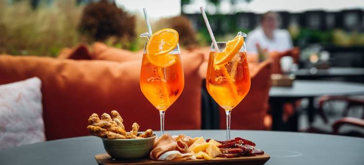 范德华酒店斯琴丹(Van der Valk Hotel Schiedam)图片